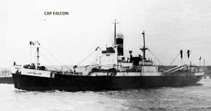 CAP FALCON 02